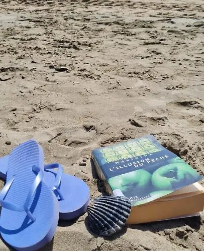 16 Le Cap D'agde Avec Parking Prive Proche Du Centre Lejlighed *