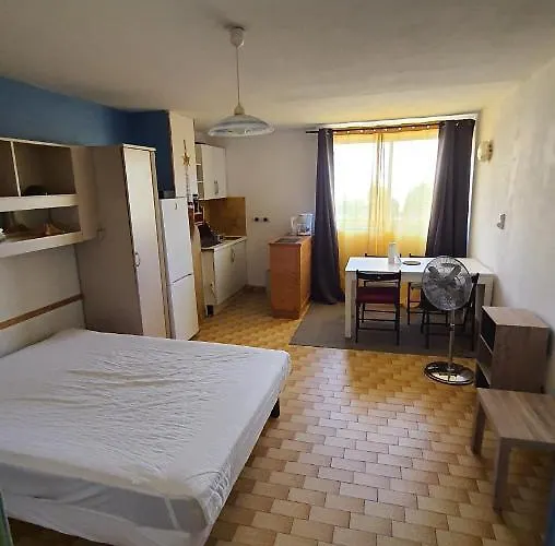 16 Le Cap D'agde Avec Parking Prive Proche Du Centre Agde