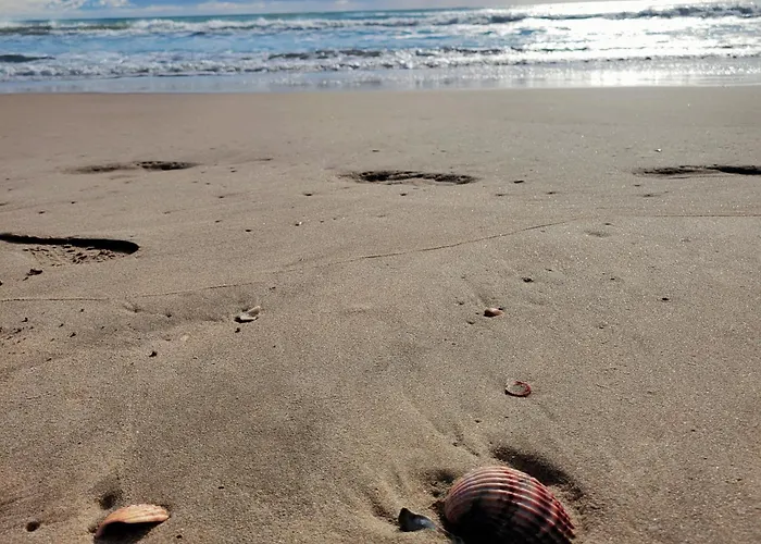 16 Le Cap D'agde Avec Parking Prive Proche Du Centre